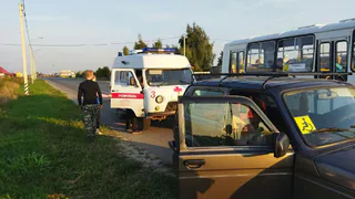Под Рязанью собака вывела поисковиков к хозяину, у которого случился сердечный приступ