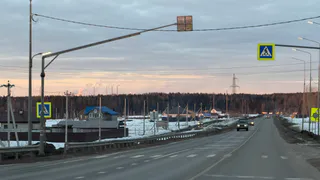 Шесть с половиной тысяч противников платного обхода Челнов и Нижнекамска готовят обращение к президенту