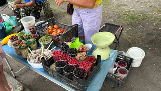 В рязанских лесах поспела брусника