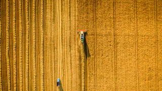 РСХБ назвал топ-10 отраслей АПК для инвестиций во время пандемии