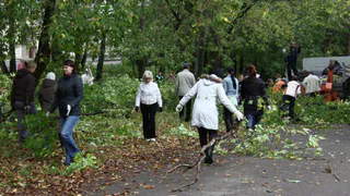Рязанец, внеси вклад: жителей города призывают принять участие в субботнике