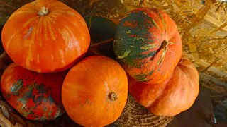 Золото на противне: Готовлю осенний тыквенный пирог – 30 минут и семья расхватала по кусочкам