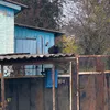 В Унече пропала 80-летняя Светлана Курашева 