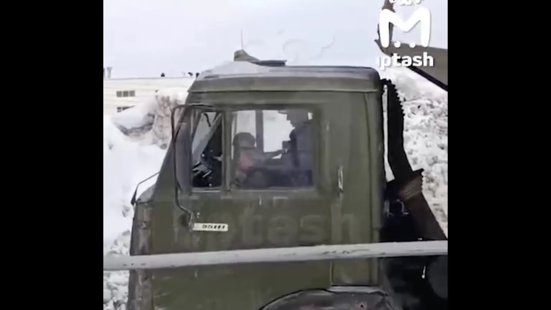 В Заинске нашли мёртвую кошку: возможно это Васька, которую избил водитель