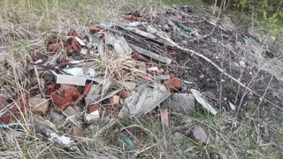 Прокуратура через суд заставит власти Селивановского района убрать 12 свалок