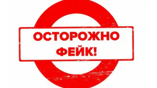 Гадкий фейк брянских СМИ испортил праздник школьнице