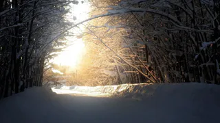 24 февраля в Чувашии: снег, гололёд и резкий ветер