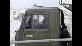 Зоозащитники Татарстана создали петицию с требованием наказать жителя Заинска за убийство кота