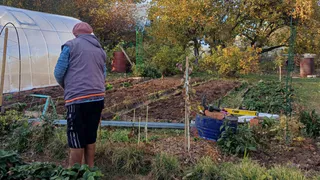 Дачникам знать обязательно: в 2026 году начнут штрафовать за неиспользование дачной земли и борщевик - вот сколько возьмут