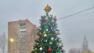 Дерево уже украсили: в Комсомольском парке установили пятиметровую ель