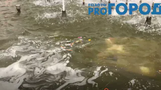 "Коричневый гранит по краю фонтана стал серым", - жители Рязани жалуются на грязный и неухоженный фонтан на площади Победы