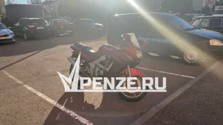 Пензенские бойцы отряда полиции «Тигр» поехали на сборы