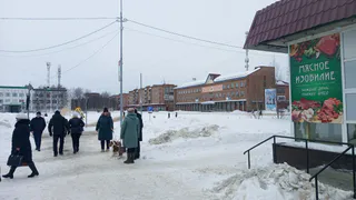 Всех россиян призвали готовиться к «температурному хаосу» с большим переизбытком осадков