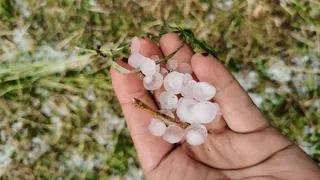 В Кадомском районе выпал град размером с черешню