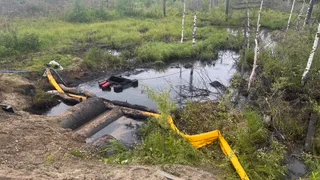 Экологическая тревога в Коми: прокуратура взяла на контроль разлив нефти
