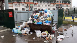 Крысы и антисанитария: рязанцы продолжают жаловаться на огромные кучи мусора