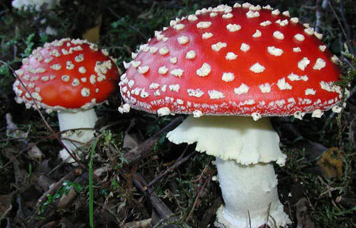 Это не лекарство!