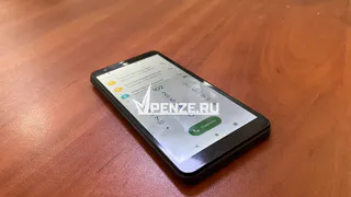 Мать с сыном из Каменки, находясь в поисках легкого заработка, потеряли свыше 3 млн рублей