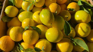 Заказываем доставку овощей и мяса с “Пятой базы”