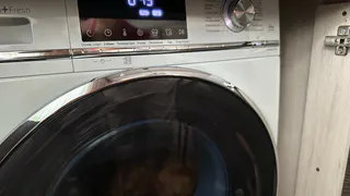 Зажмите эти 2 кнопки - и стиралка сама очистится грязи, плесени и остатков порошка: секрет вечной службы