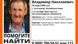 В Коми неизвестно куда пропал 74-летний мужчина