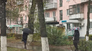 Метеорологи сообщают: зима-2025 принесёт россиянам температурные качели в 20 градусов и снежный хаос - аномальный октябрь