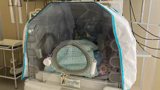 ЗАГС опубликовал итоги рождаемости в Рязанской области