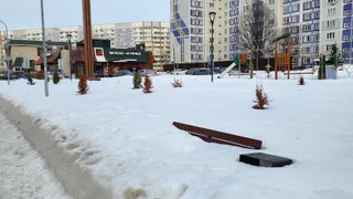 Нижнекамцы с начала зимы не могут пользоваться скамейками и урнами