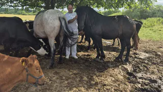 В Коми прилузский фермер задумал превратить свое хозяйство в турцентр