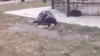 На территории брянской больницы лежавшего на земле человека предпочли не замечать