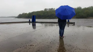 Благоустройство: в рязанском Лесопарке приведут в порядок набережную и пляж