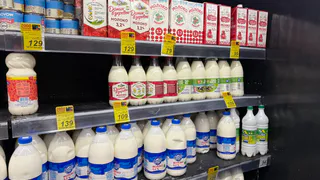  В Рязанской области планируют побить 30-летний рекорд надоя молока