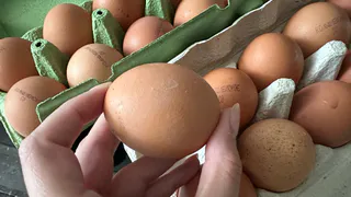 Ученые сказали, сколько яиц надо съедать каждый день, чтобы защитить сердце, мозг и печень от недугов