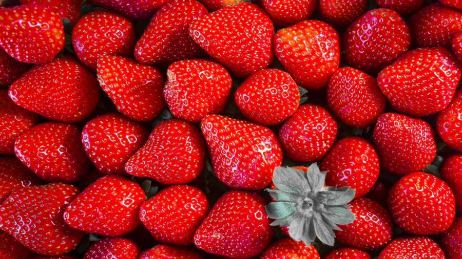 Клубнику осенью нужно накормить