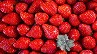 Клубнику осенью нужно накормить