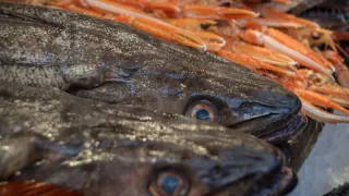 Эта рыба кишит паразитами: мы ее подаем на стол и даем своим детям. В ней нашли 10-метровых червей