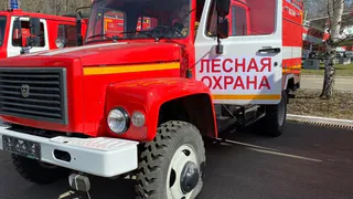 Во Владимирской области выделили 190 миллионов рублей на защиту лесов от пожаров