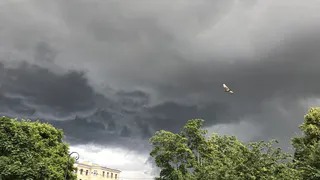 Опасно: в Рязани ожидается усиление ветра