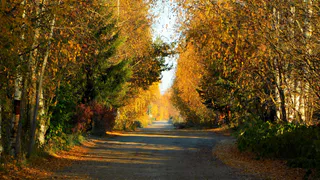 В Коми 8 октября ожидается потепление и слабые осадки на севере