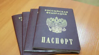 Когда рязанцам в 2020 году ожидать Всероссийской переписи населения