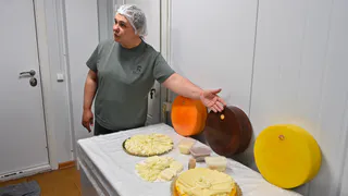 "Софийский" и "Маргарита": сосногорский сыровар создает новые брендовые сорта для Коми