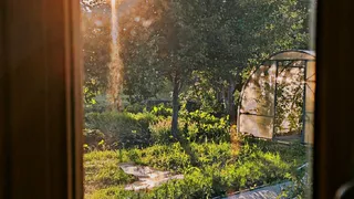 В Рязанской области разрастается борщевик Сосновского  