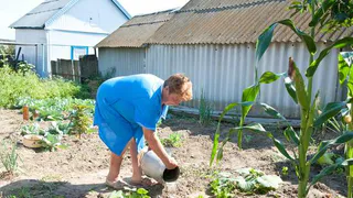 Открыт сезон «дачных» инфарктов