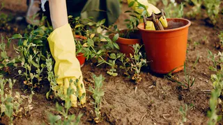 Можно рвануть на дачу: синоптики рассказали о погоде на майские праздники