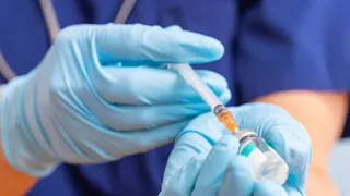 Челябинская область лидирует по числу укусов клещей