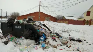 Несанкционированная свалка в Дмитриевке: люди платят, мусор не вывозят с осени