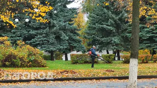 "Бабье" лето уйдет, не попрощавшись, в Челябинской области