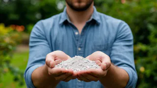 Осенью посыпаю грядки в теплице одним стаканом этого "порошка" — за зиму почва сама оздоравливается