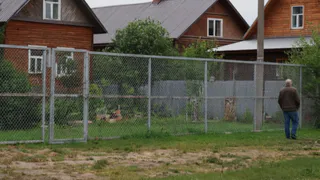 Закрываю на даче рабицу от глаз за 3 часа - делаю непрозрачный забор за копейки. Даже соседи больше не раздражают