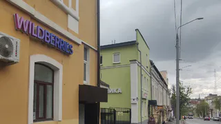 Пять вещей с Wildberries, которые закрывают весенний гардероб без лишних покупок